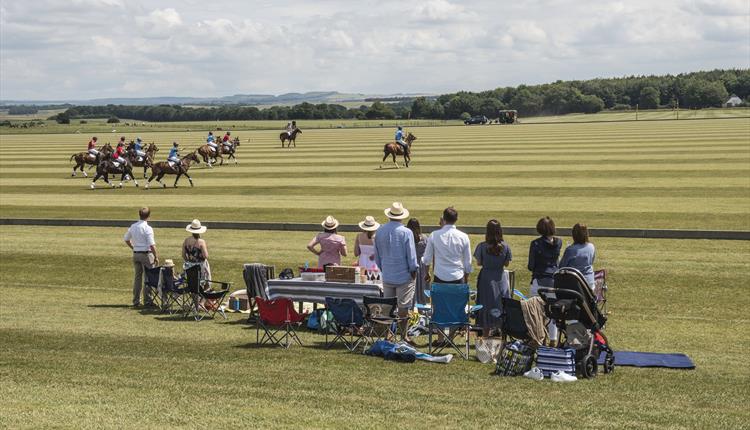 Druids Lodge Picnic Polo