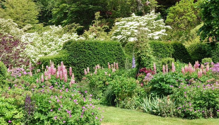 Fonthill House Charity Garden Opening