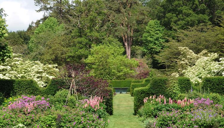 Fonthill House Charity Garden Open Day