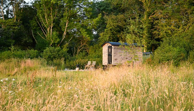 Marshwood Farm Camping - Shepherds Hut