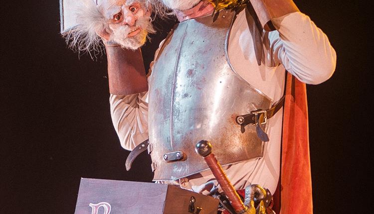 Don Quixote (Is a Very Big Book)