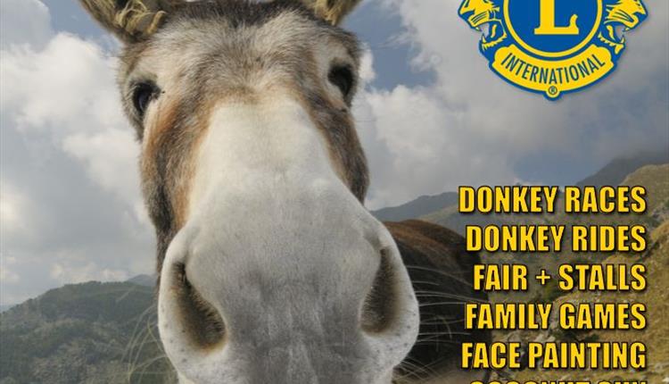 Donkey Derby, Westbury
