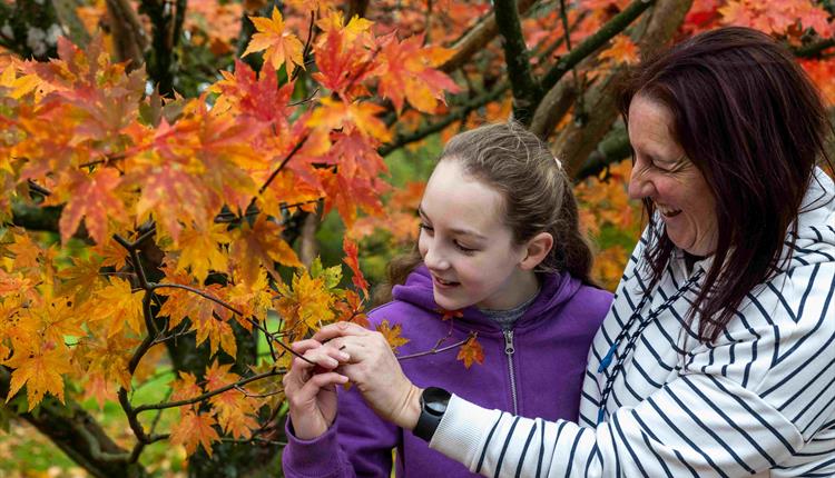 Drawn to Nature Autumn Trail - all ages