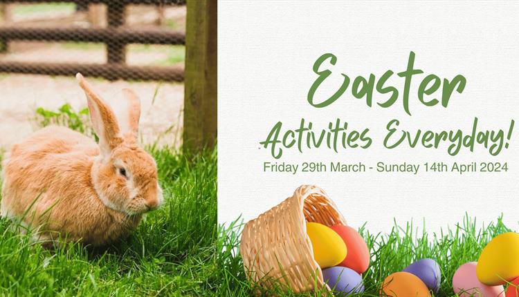 Easter Fun at Fairfield Animal Centre
