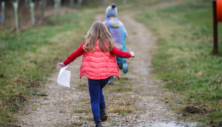 Easter Egg Hunt