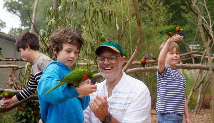 Father's Day at Longleat