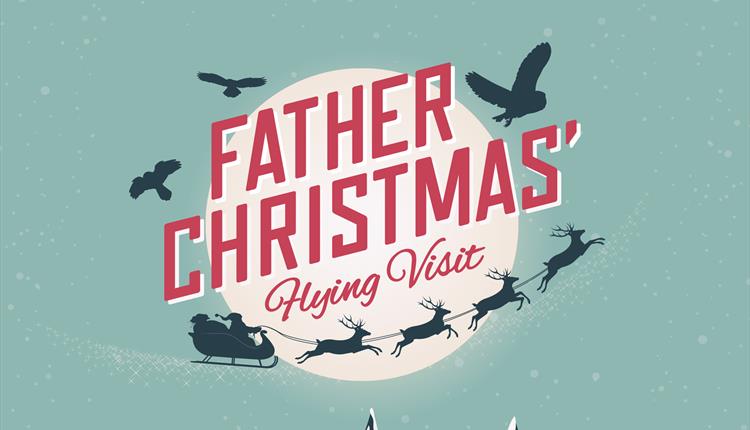 Father Christmas Flying Visit