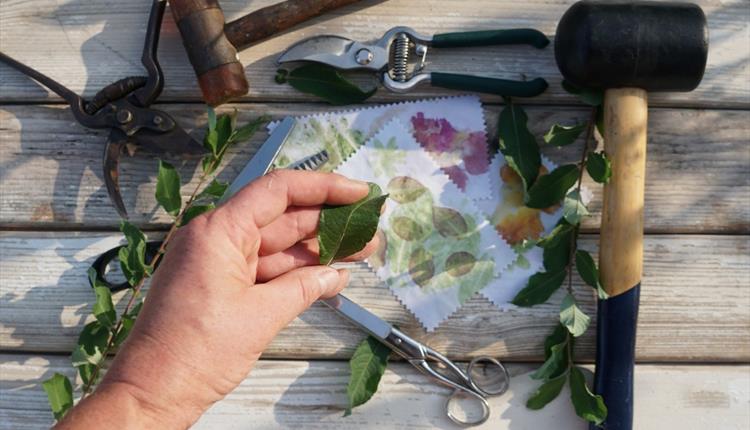 Tataki Zomé, Flower Pounding Workshop