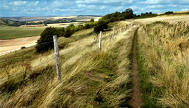 Wiltshire Downland