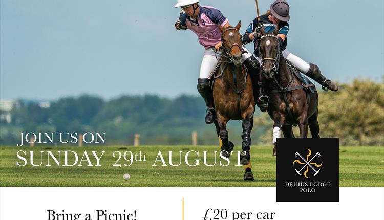 Druids Lodge Picnic Polo