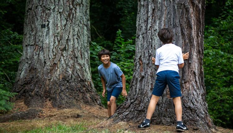 Green Games at Westonbirt – family summer trail