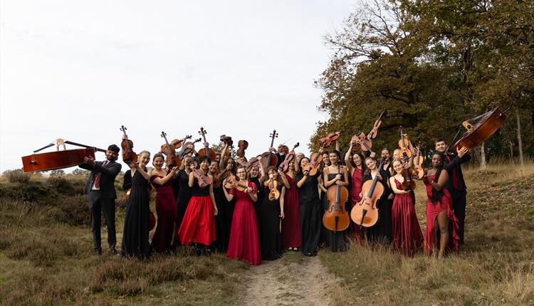 FREE CONCERT Haydn Youth String Orchestra