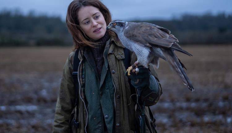 H is for Hawk (12)