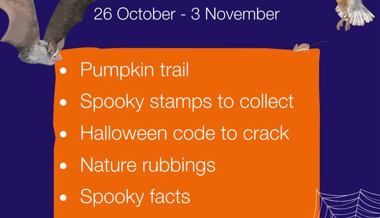 Halloween Nature Trail