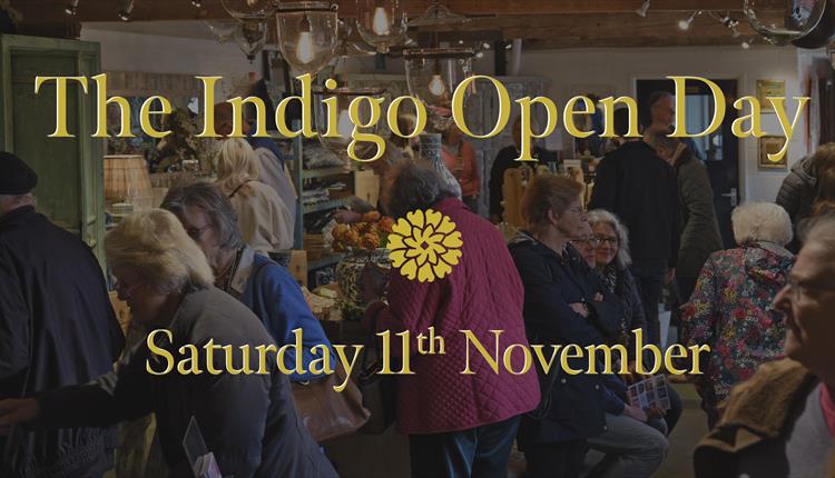 Indigo Festive Open Day