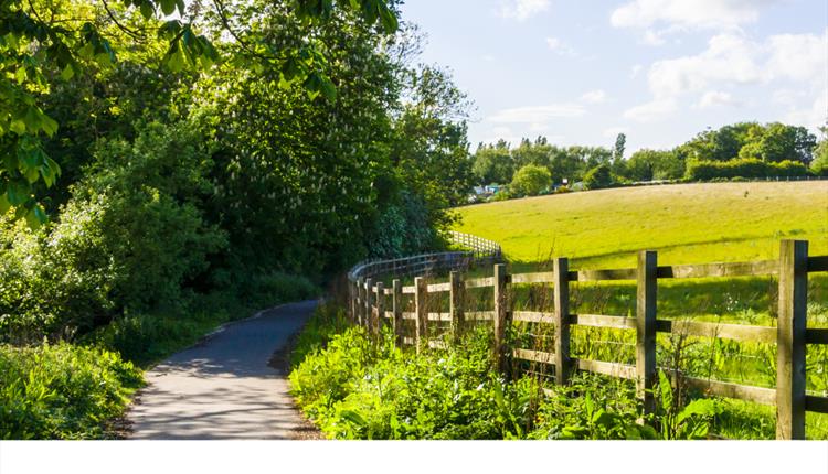 FREE Beginner Walk for Over 50s – Holt Manors Walk