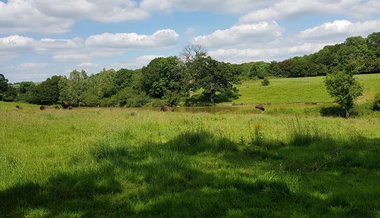 Aldbourne Open Gardens