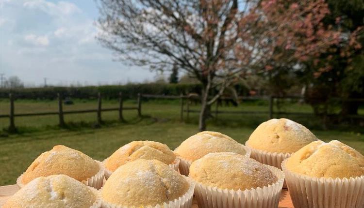 8+ Yrs Holiday Cookery Club