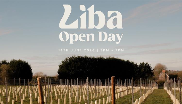 Liba Vineyard Community Open Day