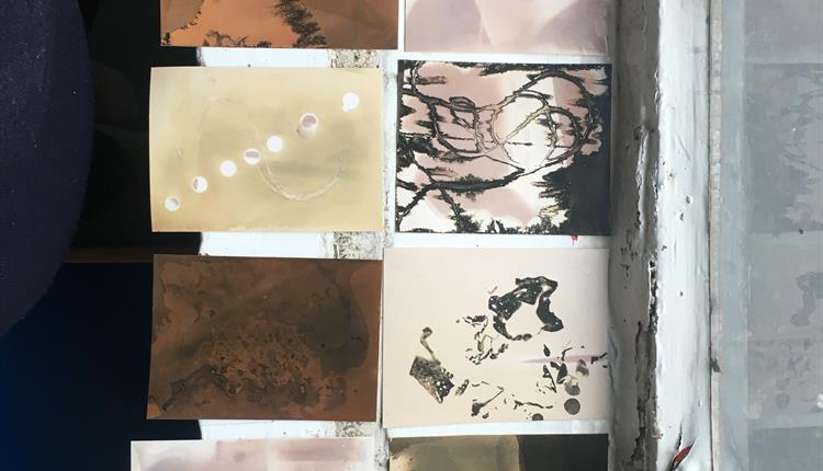 Eco-photography workshops with the Sustainable Darkroom