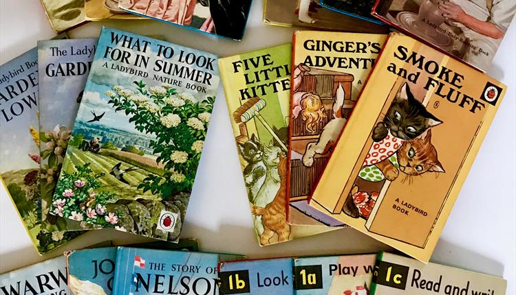 The Wonderful World of the Ladybird Book Artists