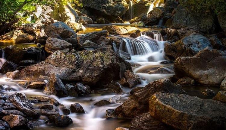 Trio Paradis Café Concert: Spring Song
