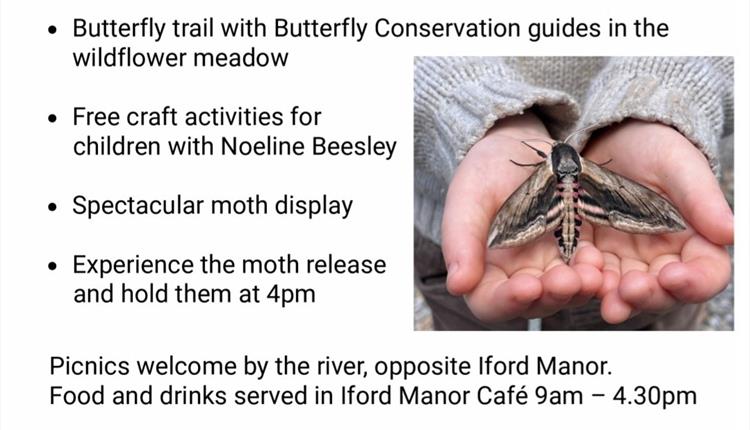 Iford Manor Moth & Butterfly Day