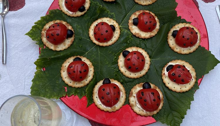 Bug Grub - Food of the Future?