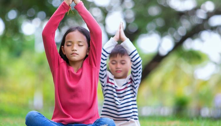 In Tune with Wellbeing – family event at Westonbirt
