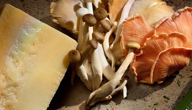 A Taste of Italy Cookery Class