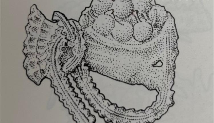 TALK: 'Sewer Cherries' with Amy Jeffs