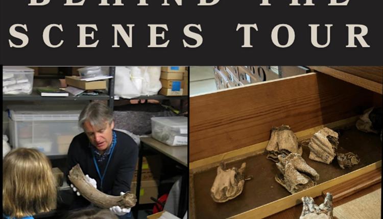 Behind the Scenes Tour