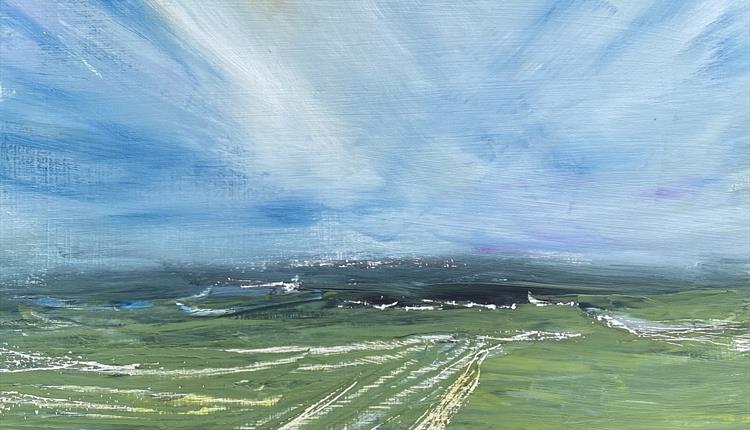'Interventions' by Joy Hillyer