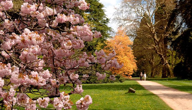 Westonbirt, The National Arboretum