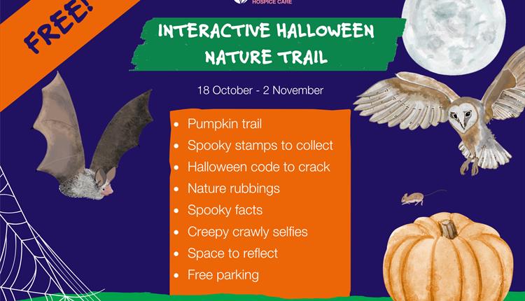 Autumn Nature Trail
