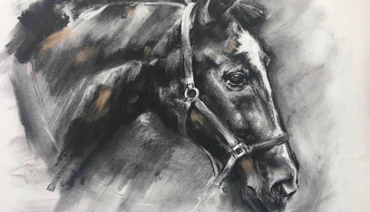 SKYE HOLLAND: LIVE HORSE DRAWING WORKSHOPS