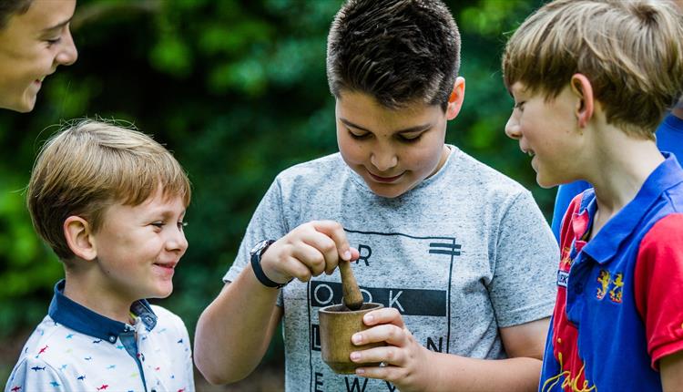 Lotions and Potions - family activity