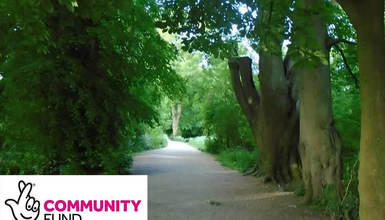 FREE Beginner Walks for All – Lydiard Country Park Guided Walk, Wiltshire