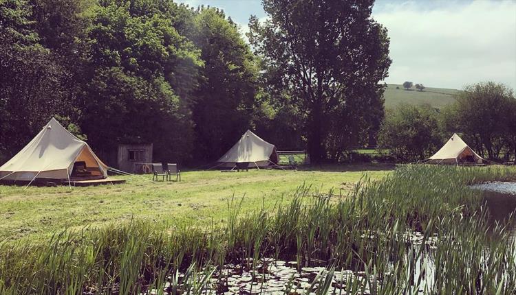 Chalke Valley Camping