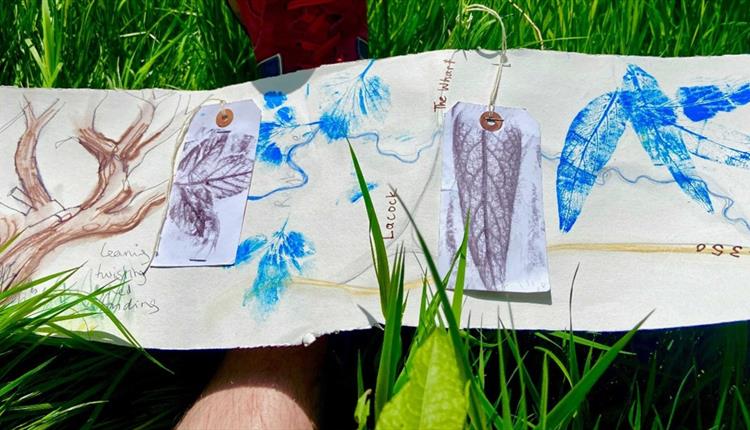 Mapping Biodiversity with Artist James Aldridge