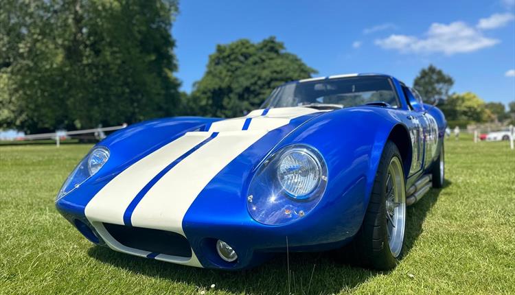 Masters of Motoring