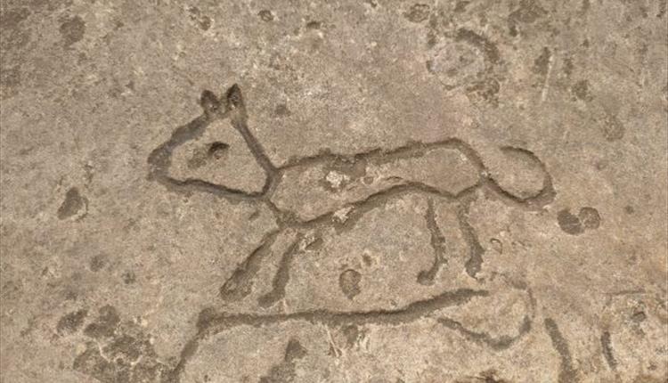 Medieval Graffiti Children’s Trail