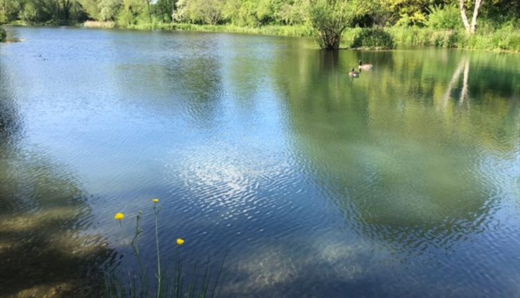 Shalbourne Open Gardens