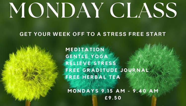 Mindful Monday