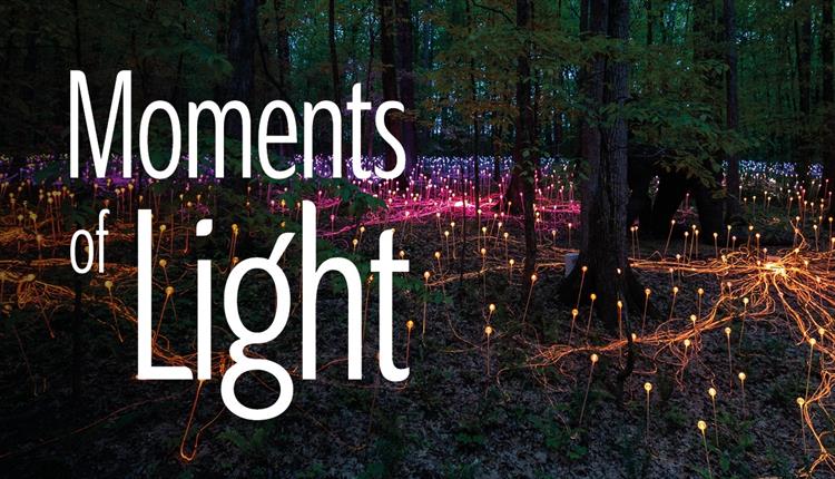 Hospice announces Moments of Light: a world premiere immersive light installation by internationally renowned artist, Bruce Munro.