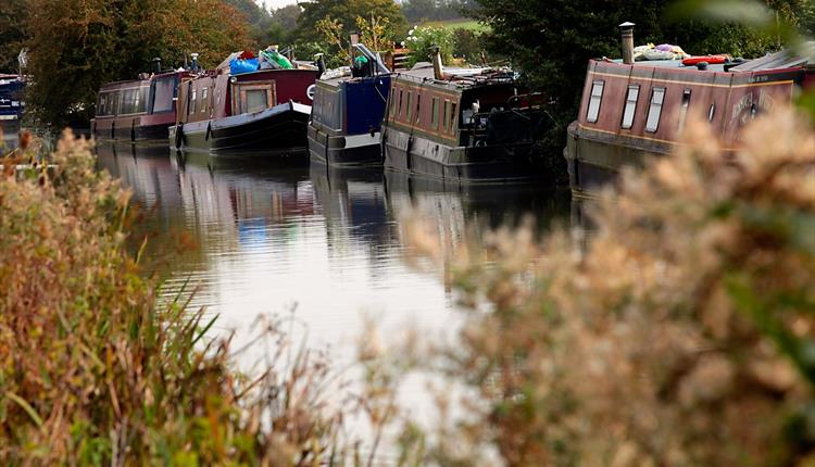 Moored boats on K&A by Terry Hewlett