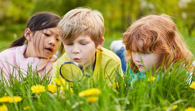 Summer Explorers