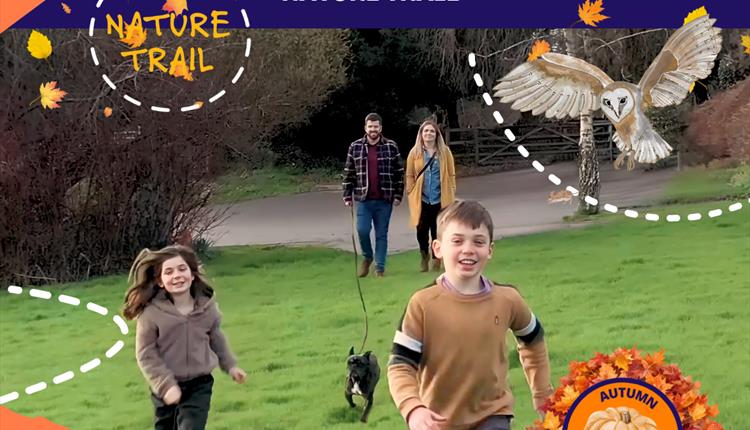 Autumn Nature Trail at Dorothy House