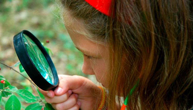 Nature Detectives at Roves Farm