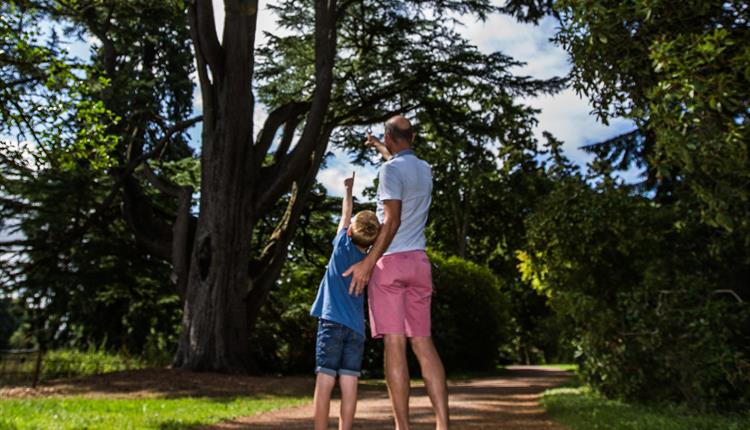 Nature's Soundtrack – family event at Westonbirt